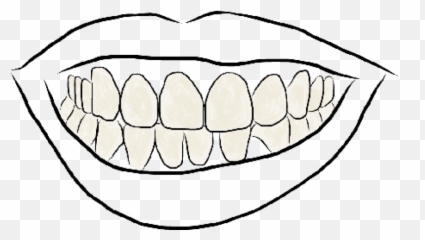 Outline Image Of Teeth Png Images