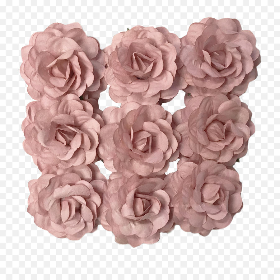Flr - Garden Roses Png,Paper Flower Png