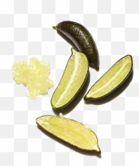 Caviar Lime - Caviar Lime Extract Png,Limes Png