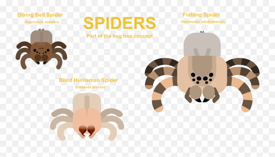 Spiders Part Of The Bug Tree Stats And Pngu0027s In Comments - Clip Art,Spiders Png