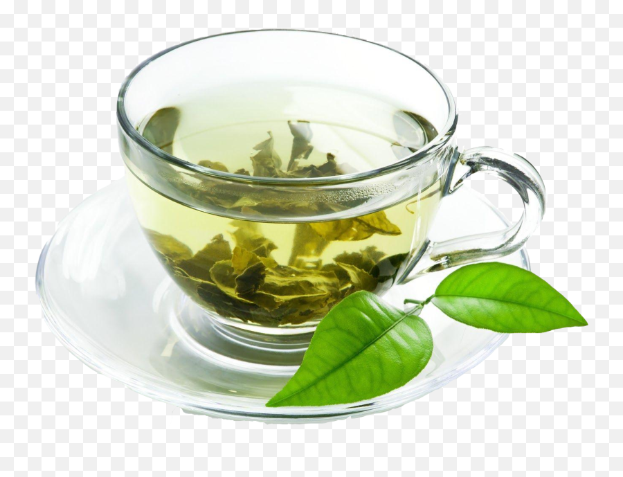 Gnf Food India - Hot Green Tea Png,Green Tea Png