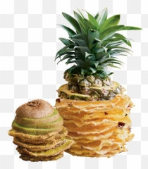 Fruit Chips U2013 Nudus - Ananas Png,Bag Of Chips Png