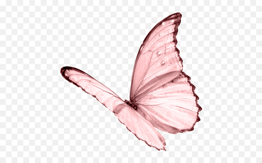 Download Butterfly Png Pic - Light Pink Butterfly Png,Butterfly Transparent Background