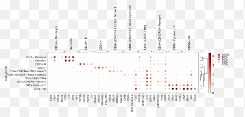 Visualizing Marker Genes U2014 Scanpy Documentation - Dot png