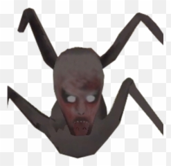Child - Granny Spider Png,Granny Png