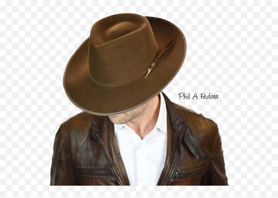Download Phil A - Fedora Cowboy Hat Full Size Png Image Costume Hat,Fedora Hat Png