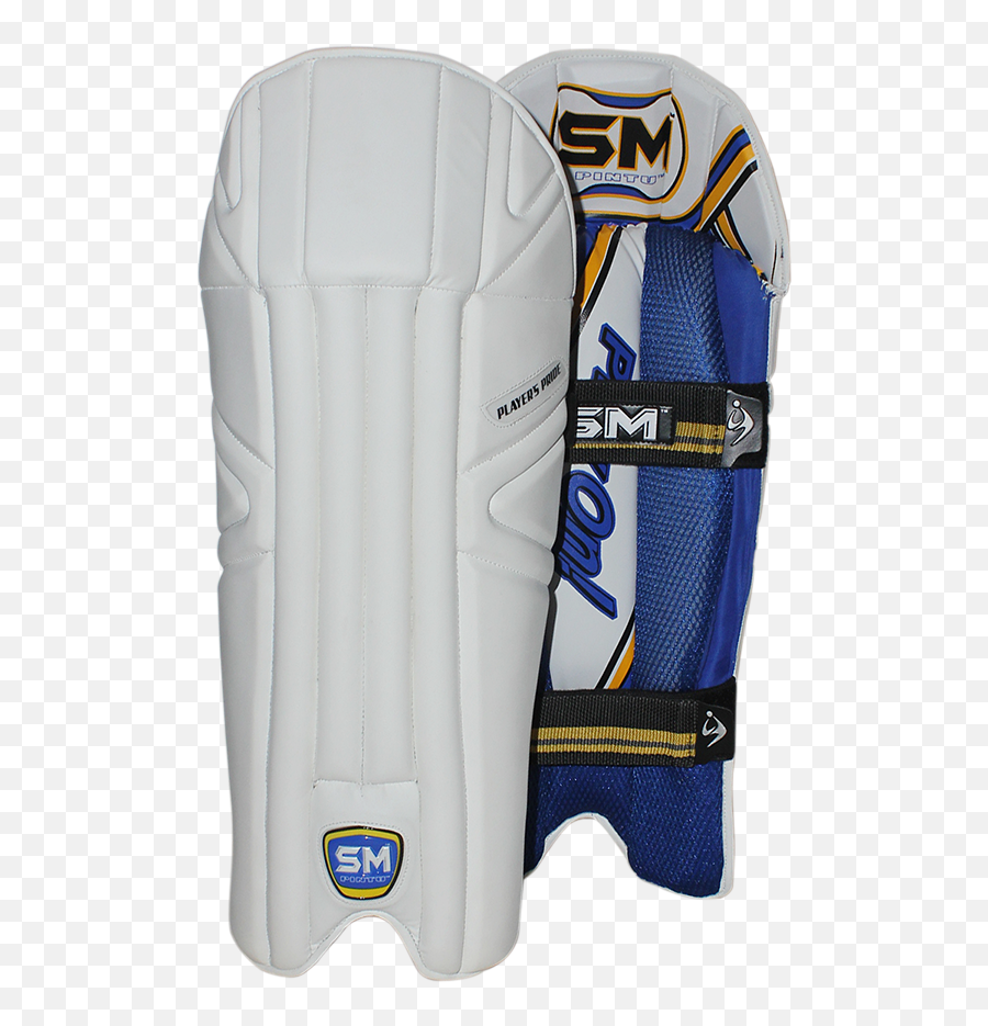 Httpswwwpscricketcomau Daily Httpswwwpscricketcom - Cricket Wicket Keeping Pad Png,Gm Icon Cricket Bat Stickers