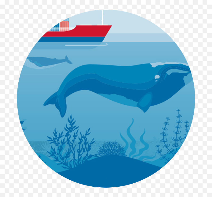 Canadian Wildlife Federation Coasts U0026 Oceans - Subway Png,Icon On Ocean Menu