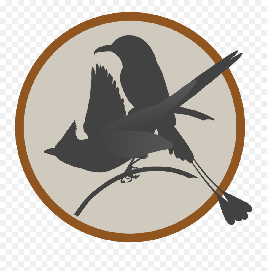 Privacy Policy For Neotropic Bird Project Png Mockingjay Icon