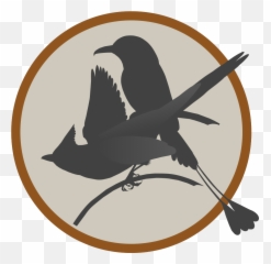 Privacy Policy For Neotropic Bird Project Png