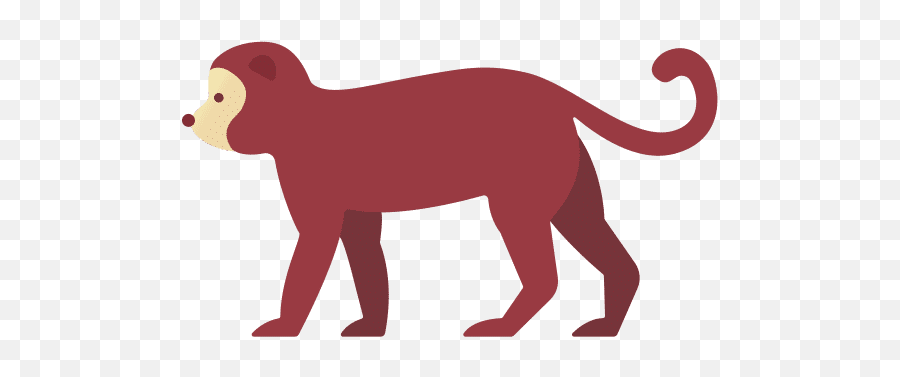 Victoruler U2013 Canva - Animal Figure Png,Media Monkey Icon