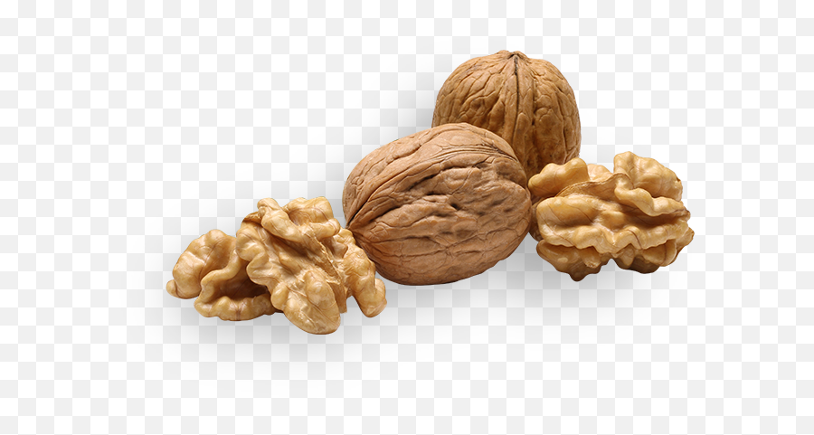 Picture - Walnuts Png,Walnut Transparent