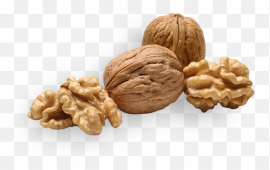 Picture - Walnuts Png,Walnut Transparent
