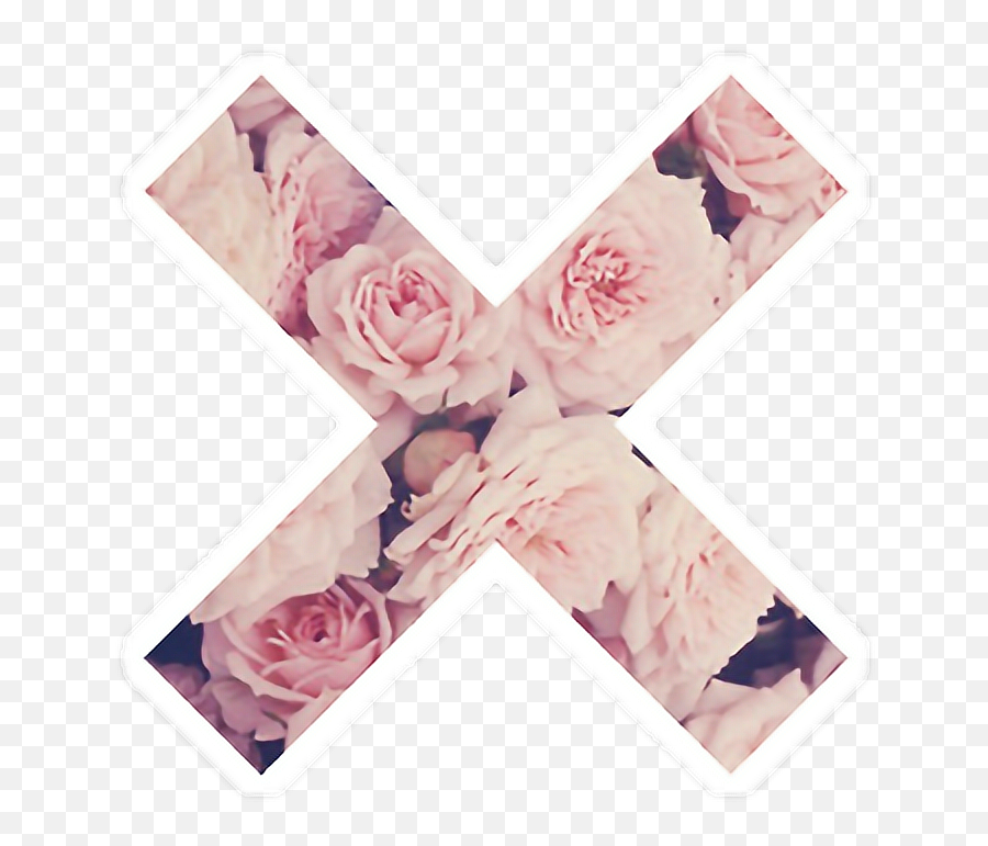 Download X Tumblr Sticker Flower Flowers - Desktop Fondos De Pantalla Hd Para Mujer Png,Flowers Png Tumblr