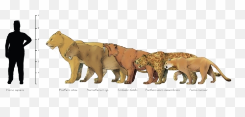 Pebbles The Ice Age Puma La Brea Tar Pits - Cats png