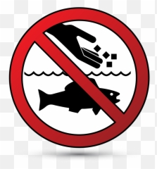 Good Ocean Manners Matter - Don T Give Food To Fish png