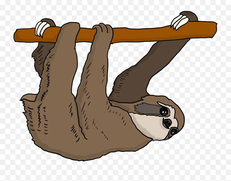 Sloth Tree Hanging - Doesnt Matter How Slowly You Go As Long Png,Sloth Png