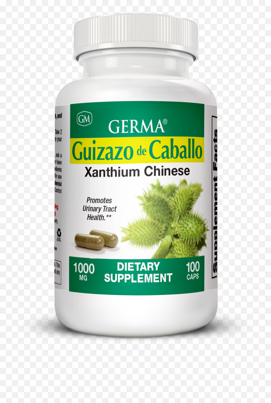 Germa Guizazo De Caballo - Centella Asiatica Png,Caballo Png