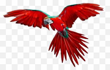 Animals Clipart Png Cartoon - Flying Png Bird,Animal Clipart Png