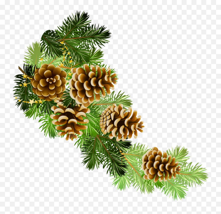 Pine Cone Transparent Background Png Arts - Christmas Pine Cone Png,Pine Tree Transparent Background