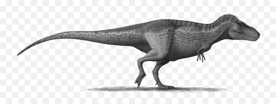 T Png Tyrannosaurus Rex