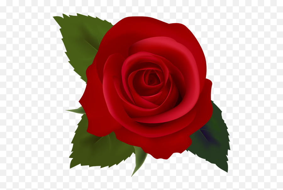 Library Of Clipart Royalty Free Stock Rose Hd Png Files - Flower Rose Png Clipart,Red Rose Png