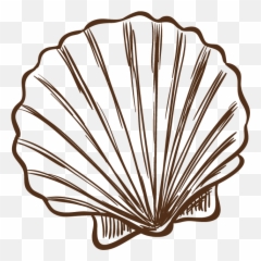 Concha Png - Seashell Illustration Png,Concha Png