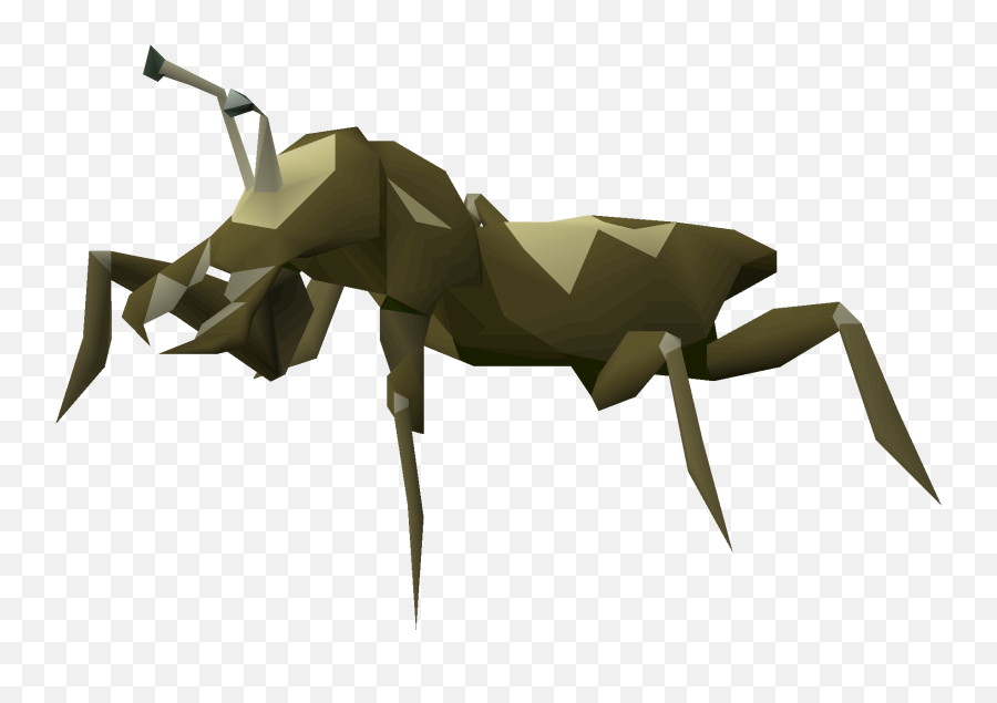 Cave Bug - Cave Bug Png,Cave Png