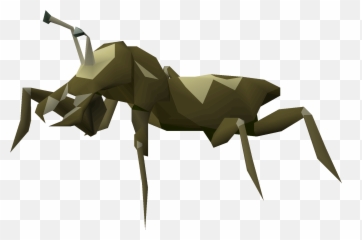 Cave Bug - Cave Bug Png,Cave Png
