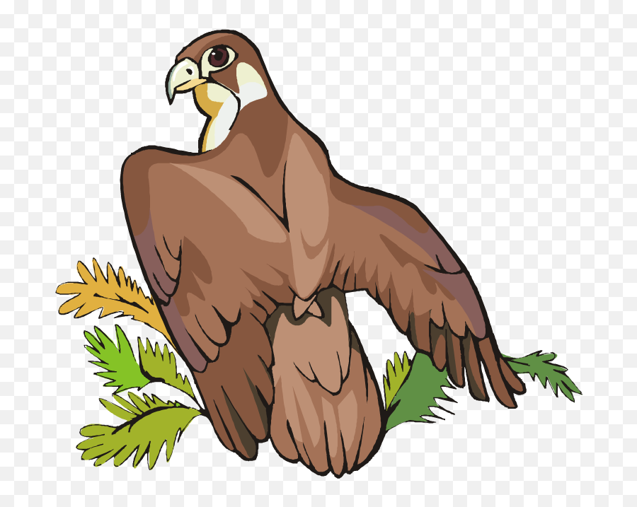 Eagle Clipart Png - Free Eagle Clipart Golden Eagle Eagles Zoo Clipart,Golden Eagle Png