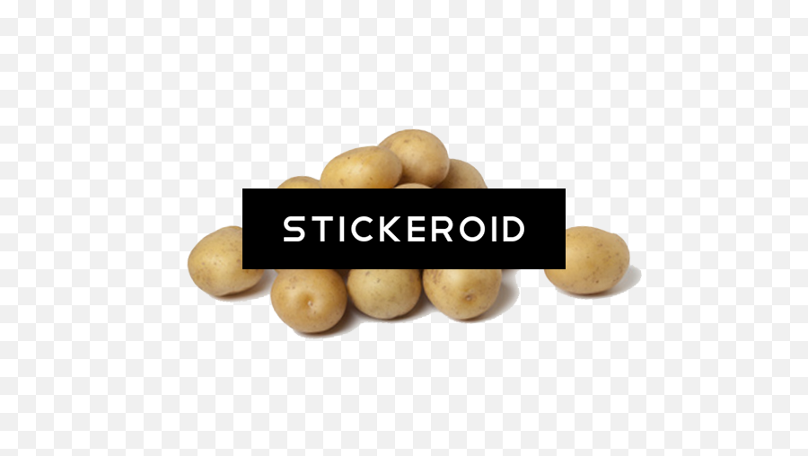 Download Hd Potato - Yukon Gold Potato Transparent Png Image Titlis Mountain Station,Potato Transparent