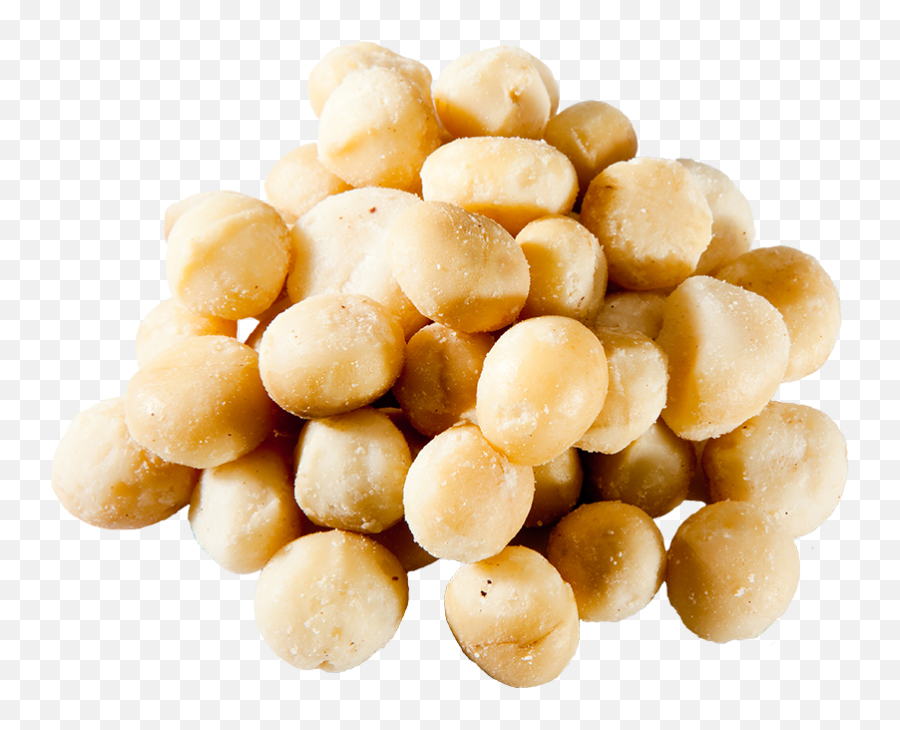 Macadamia Nuts Png Image With - Benefits Of The Different Nuts,Nuts Png