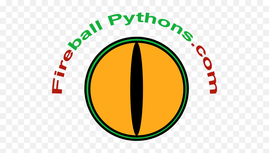 Download Fireball Pythons Logo - Circle Png Image With No Cercle De Silence,Fireball Logo Png