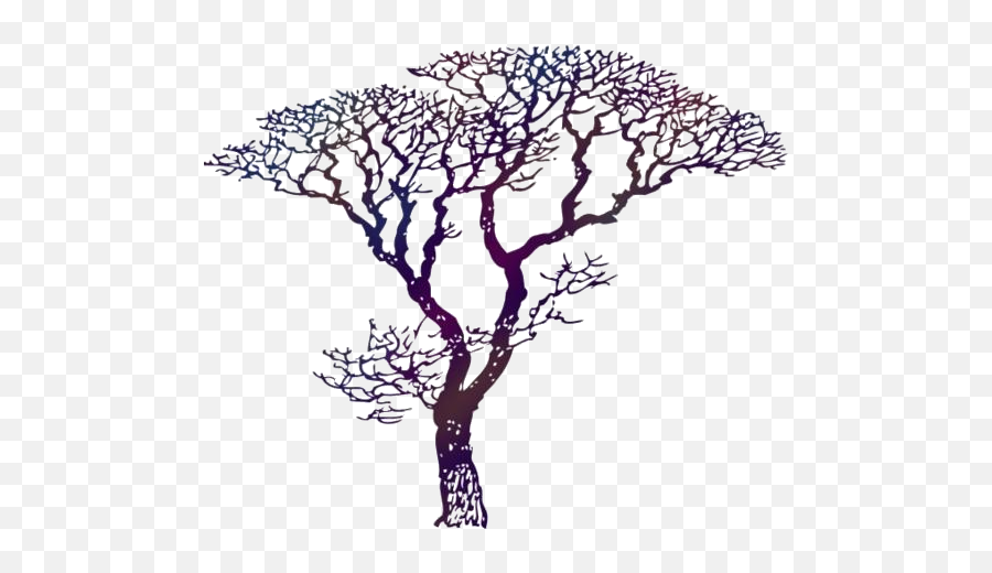 Dogwood Tree Png Transparent Images - Draw A Dogwood Tree,Dogwood Png