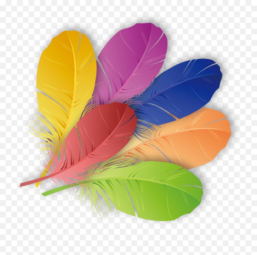 Download The Floating Feather Color - Feather Color Png Png Hd Image Of Coloured Feathers,Feather Transparent