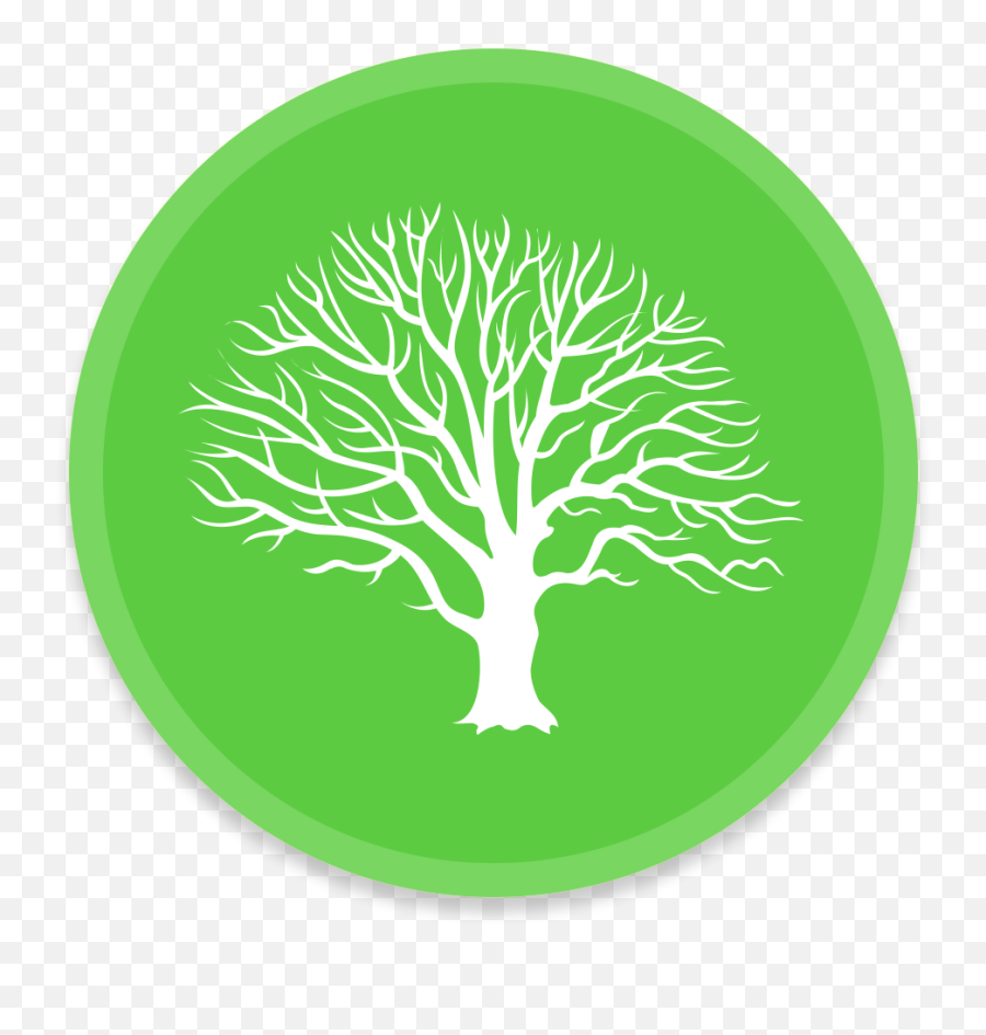 Tree Icon Png 37324 - Free Icons Library Png,Tree Logo Png