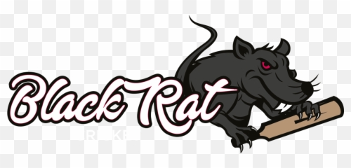 06 Brc Original Pro - Illustration Png,Rat Transparent