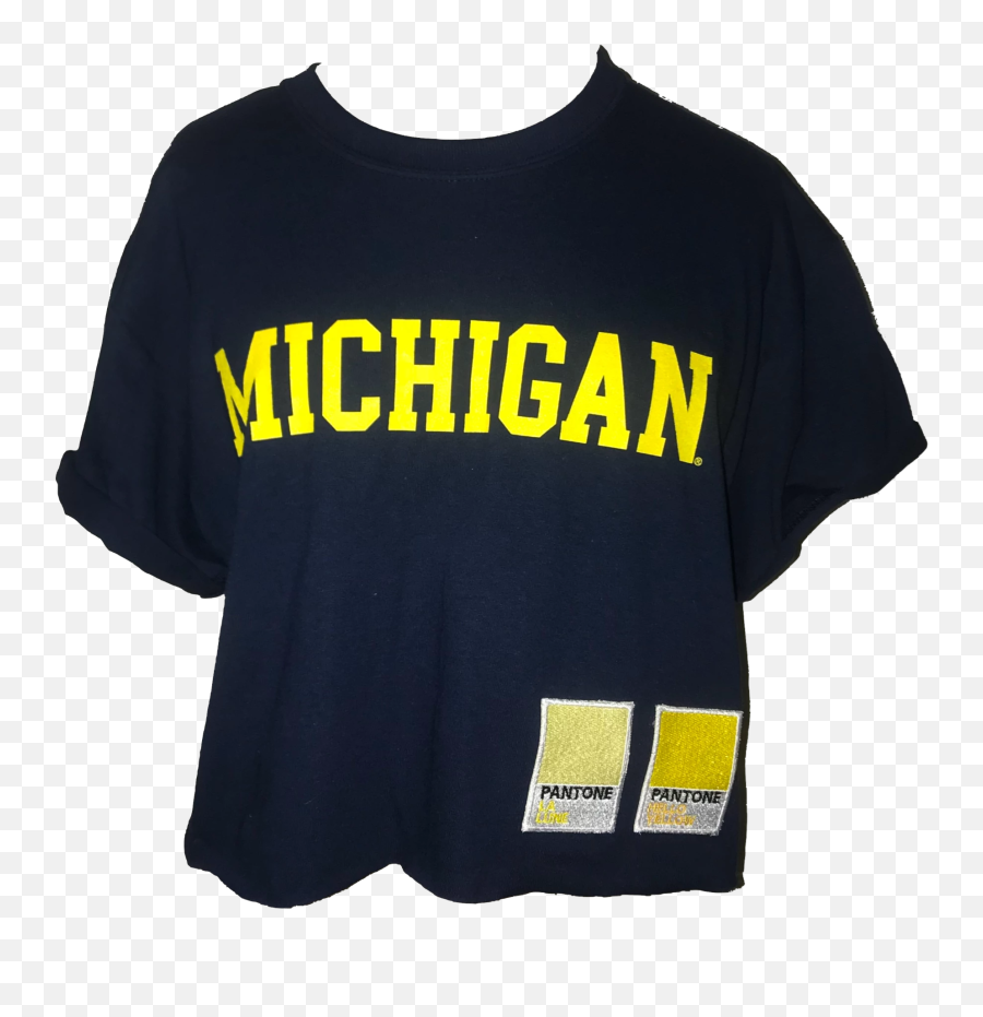 University Of Michigan Paint Swatch Tee Mysite - Michigan Wolverines Basketball Png,Paint Swatch Png