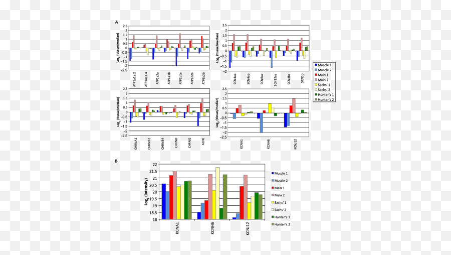 A Tail Of Two Voltages Proteomic Comparison The Three - Vertical Png,Transparent Ribbon Eel