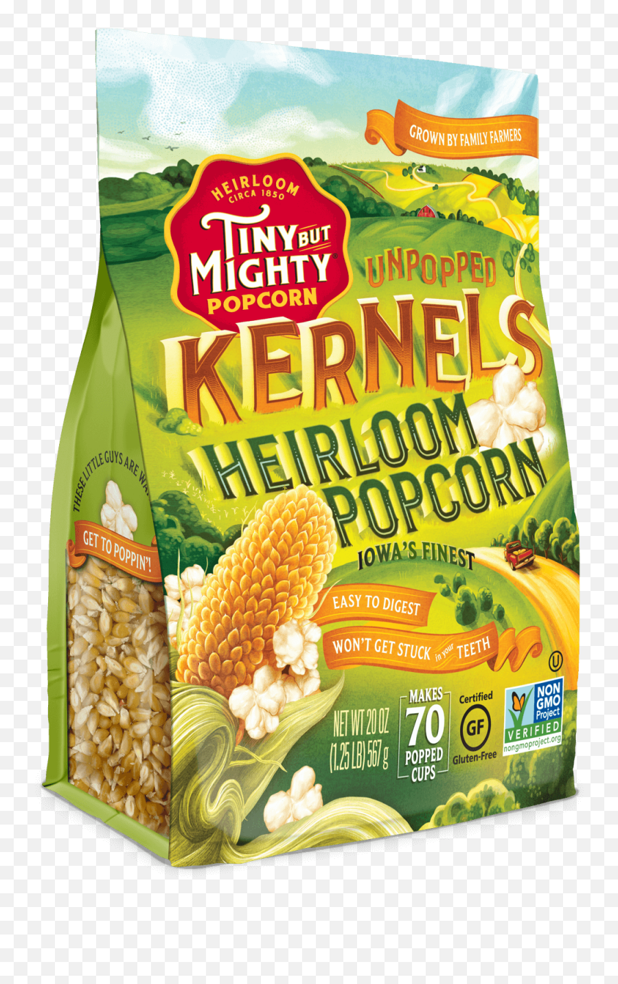 Unpopped Kernels - Heirloom Popcorn Png,Popcorn Kernel Png