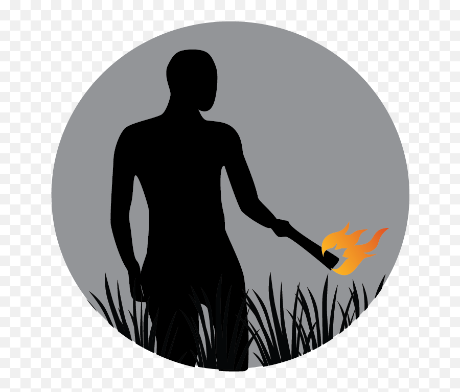 The Grass - Silhouette Png,Fountain Grass Png