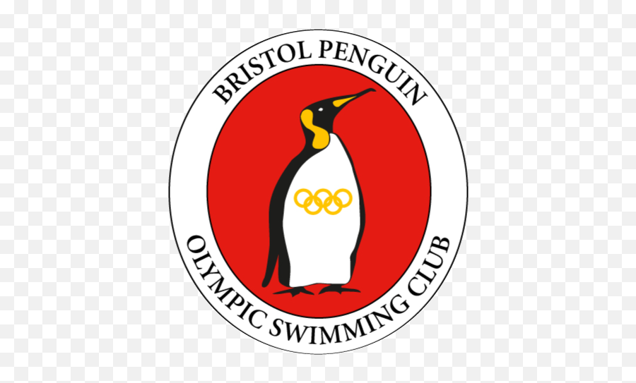 Volunteer With Bristol Penguins - Shotokan Karate Do Mexico Png,Penguins Icon