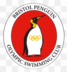 Volunteer With Bristol Penguins - Shotokan Karate Do Mexico Png,Penguins Icon