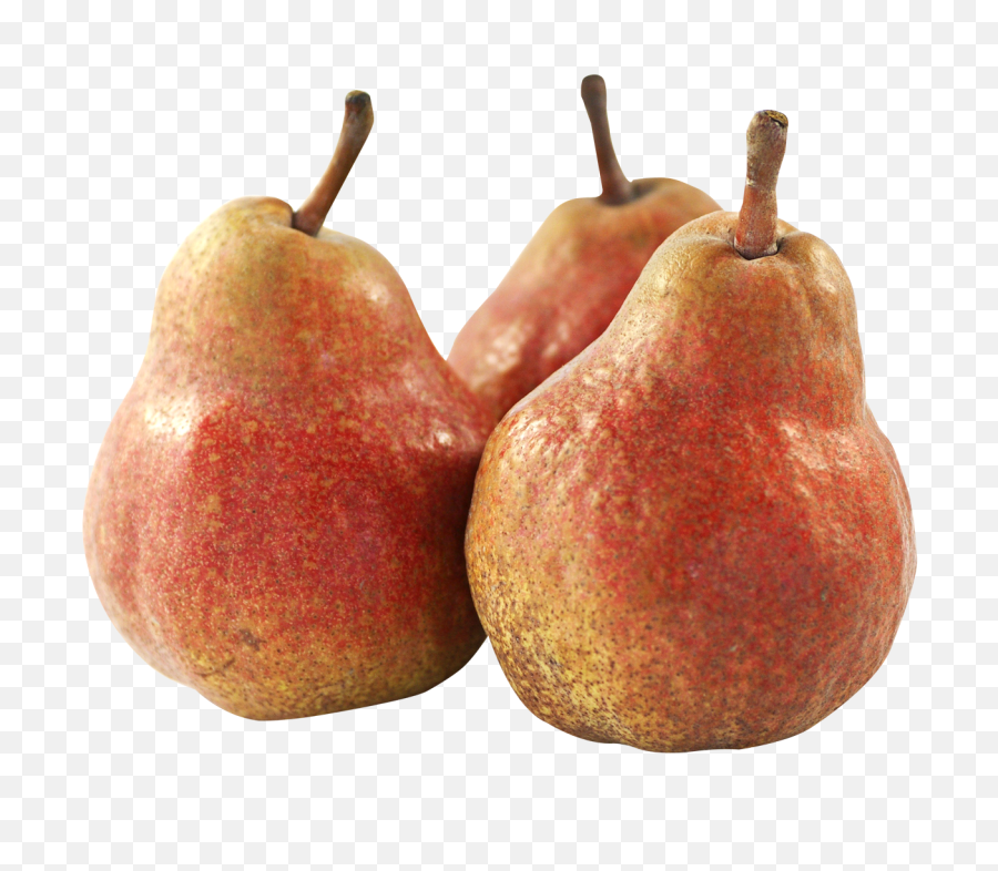 Pear Fruits Png Image - Purepng Free Transparent Cc0 Png Fruit Png,Fruits Png