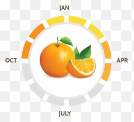 Our Varieties - Suntreat Bitter Orange png