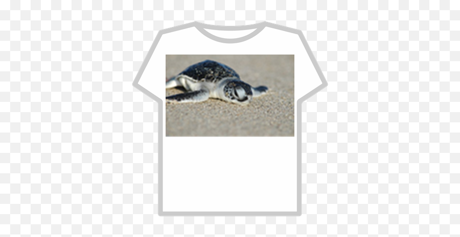 Buy This Cute Turtle For Good Lucc - Roblox Aesthetic Free Roblox Clothes Png,Cute Turtle Png