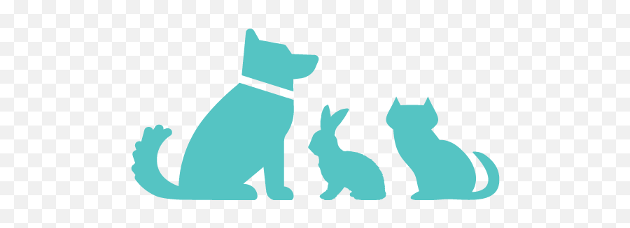 Reviews - Pets R Us Commerce City Animal Hospital Vector Dog Sitting Icon Png,Dog Buddy Icon