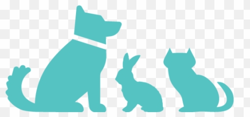 Reviews - Pets R Us Commerce City Animal Hospital Vector Dog Sitting Icon Png,Dog Buddy Icon