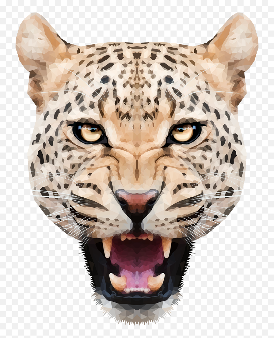 Tiger Head Png - Leopar Png,Animal Head Png
