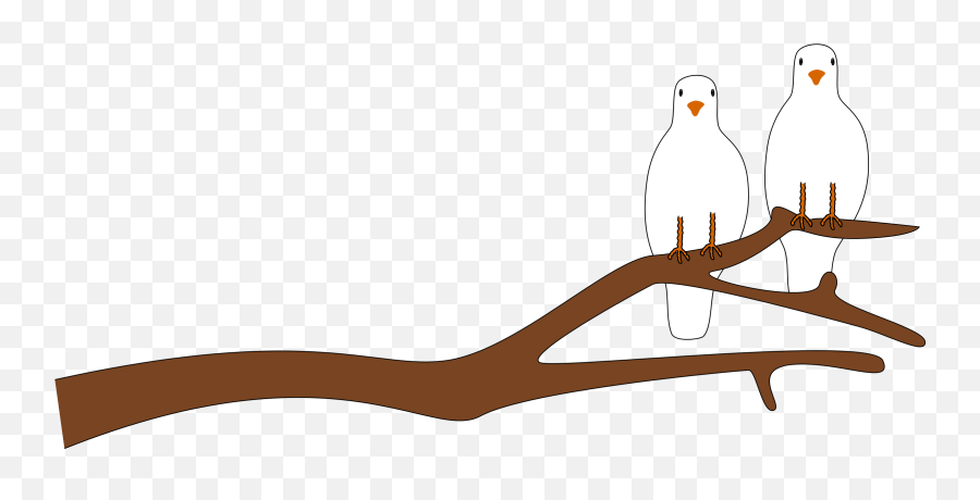 Download Hd Clipart - Dove In A Tree Clipart Transparent Png Dove On Tree Clipart,Dove Transparent